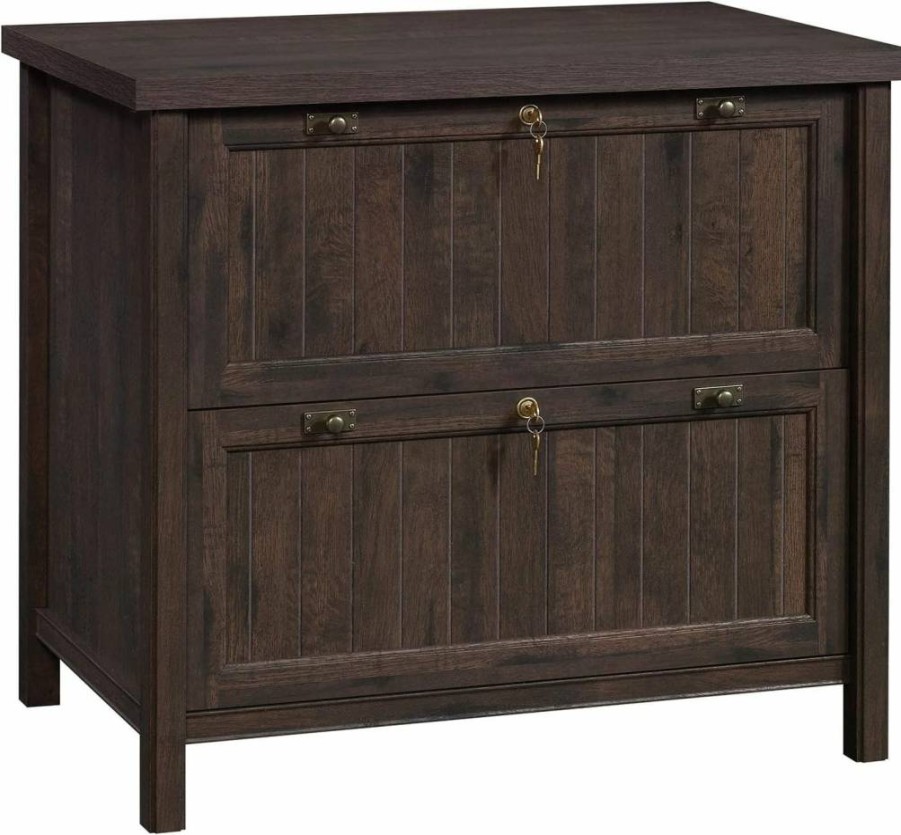 Sauder Costa 2-Drawer Lateral File Cabinet, Coffee Oak Finish, Locking Rustic Cottage Style Office Storage
