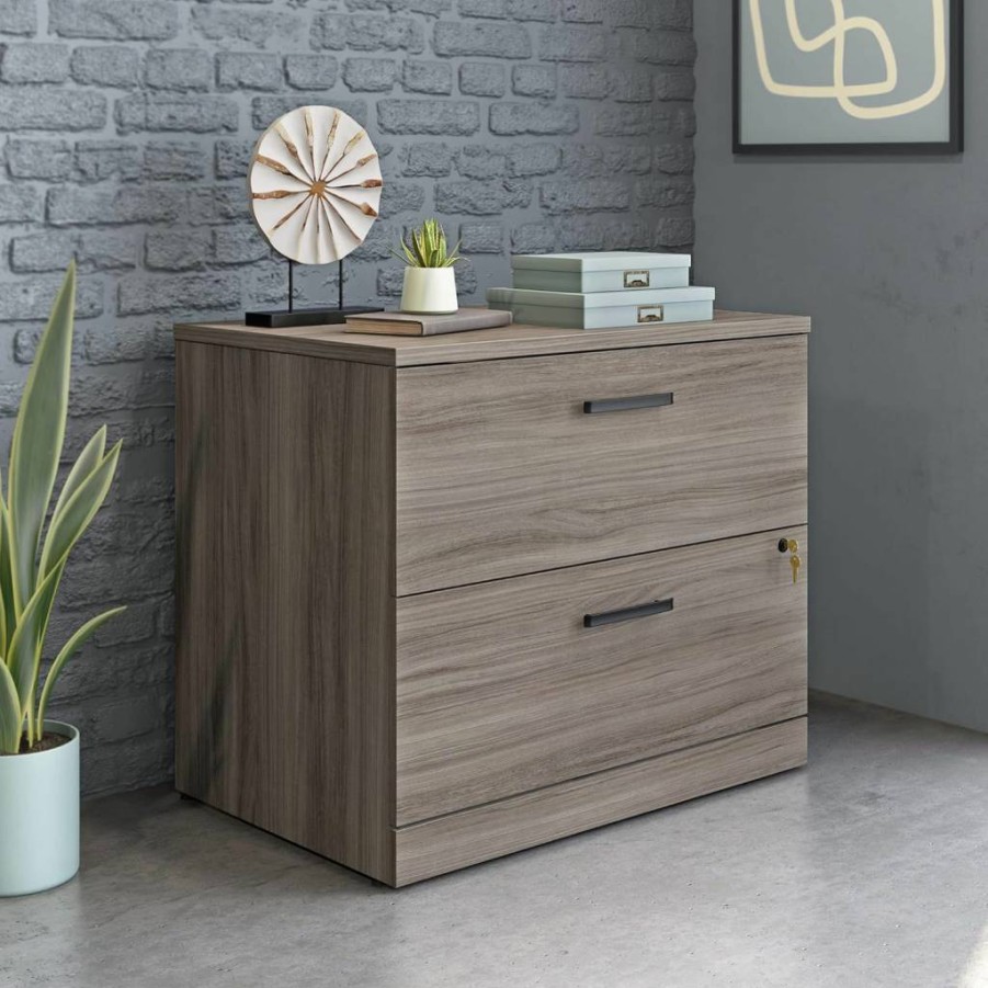 OfficeWorks by Sauder Hudson Elm Lateral File Cabinet, 35.43" W x 23.47" D x 29.29" H, Storage Organizer for Home Office
