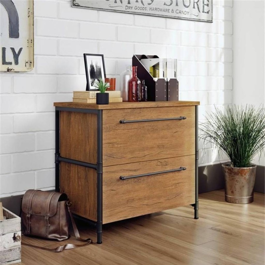 Sauder Iron City Lateral File Cabinet, Checked Oak Finish, 2-Drawer Storage Organizer for Office or Home