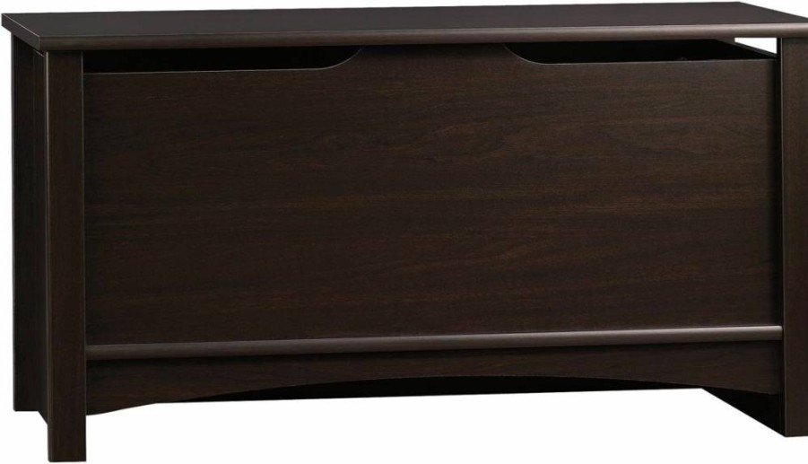Sauder Shoal Creek Soft White Toy Storage Chest - Living Room Storage Trunk with Organizer Compartment