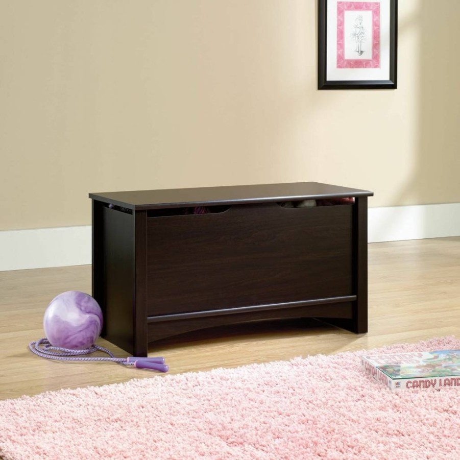 Sauder Shoal Creek Soft White Toy Storage Chest - Living Room Storage Trunk with Organizer Compartment