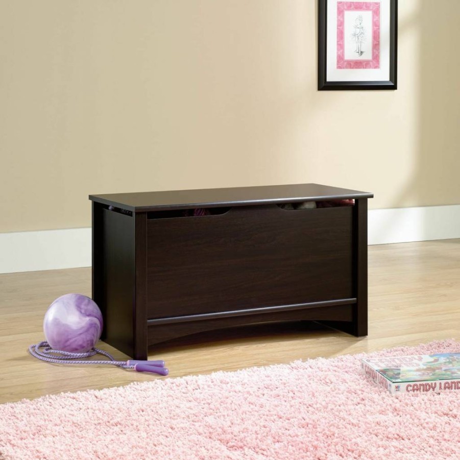 Sauder Shoal Creek Toy Storage Chest - Oiled Oak Finish Living Room Storage Trunk for Organizing Kids' Toys and Home Decor