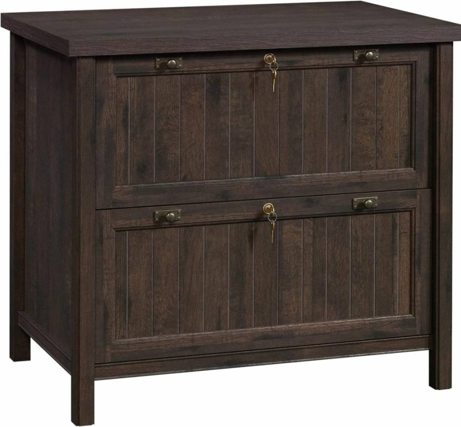 Sauder Costa 2-Drawer Locking Lateral File Cabinet for Home Office, Chalked Chestnut Finish