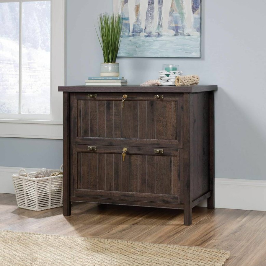 Sauder Costa 2-Drawer Locking Lateral File Cabinet for Home Office, Chalked Chestnut Finish
